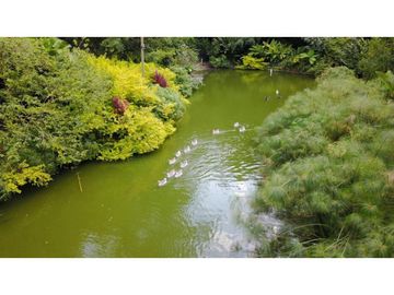 Venta Finca Girardota Corregimiento Cabildo Antioquia