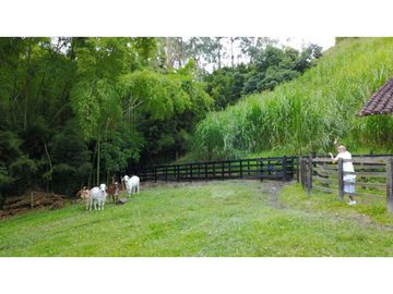 Venta Finca Girardota Corregimiento Cabildo Antioquia