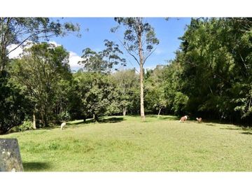 Venta Finca Girardota Corregimiento Cabildo Antioquia