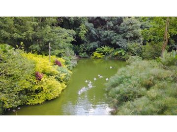 Venta Finca Girardota Corregimiento Cabildo Antioquia