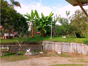 VENTA FINCA VIA ARMENIA MONTENEGRO QUINDIO, COL. CEL. 320 774----