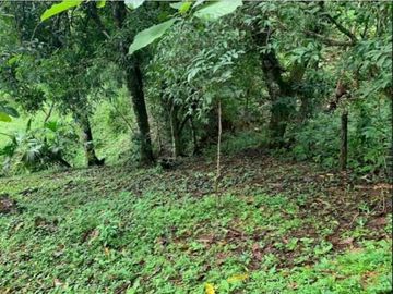 SE VENDE FINCA 4 HECTAREAS LAS MINAS HERRERA