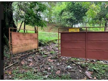 SE VENDE FINCA 4 HECTAREAS LAS MINAS HERRERA