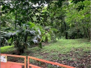 SE VENDE FINCA 4 HECTAREAS LAS MINAS HERRERA