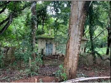 SE VENDE FINCA 4 HECTAREAS LAS MINAS HERRERA