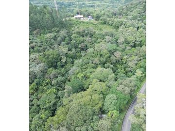 SE VENDE FINCA 4 HECTAREAS LAS MINAS HERRERA