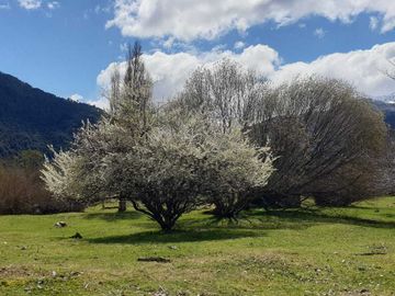 Parcela en venta en RÍO IBAÑEZ