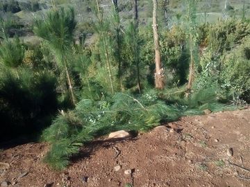 Parcela en Venta en machicura