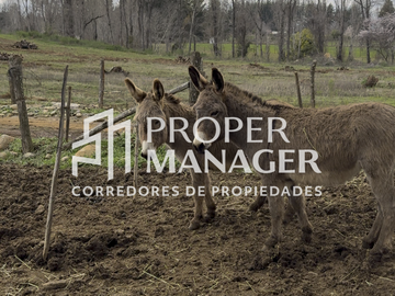 Sitio en Venta en 8 Parcelas Planas Orilla de Camino a 5 Min de Pinto