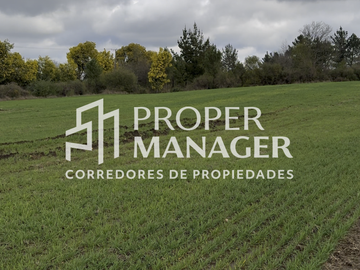 Sitio en Venta en 8 Parcelas Planas Orilla de Camino a 5 Min de Pinto