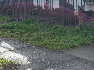 Casa en Venta en Sitio Comercial excelente ubicación en Los Ángeles