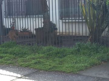Casa en Venta en Sitio Comercial excelente ubicación en Los Ángeles