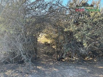 Parcela en Venta en Lote en venta en Valle Fértil - Copiapó