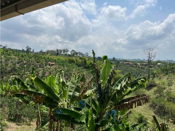 VENDO HERMOSA FINCA AGRO-TURSTICA EN FILANDIA