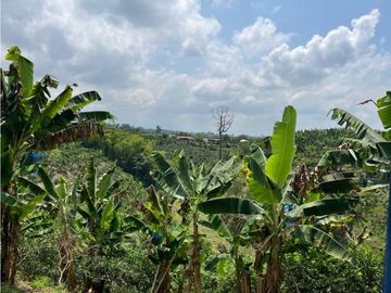 VENDO HERMOSA FINCA AGRO-TURSTICA EN FILANDIA