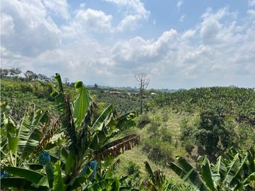 VENDO HERMOSA FINCA AGRO-TURSTICA EN FILANDIA