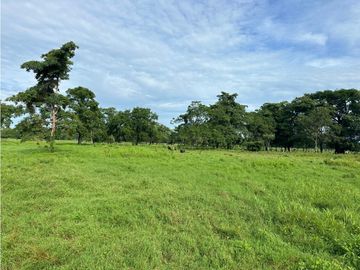 GRAN EXTENSION DE ESTE RANCHO EN ACAPETAHUA CHIAPAS.