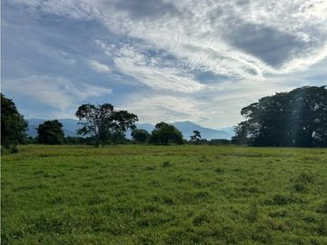 GRAN EXTENSION DE ESTE RANCHO EN ACAPETAHUA CHIAPAS.