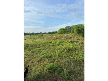 GRAN EXTENSION DE ESTE RANCHO EN ACAPETAHUA CHIAPAS.
