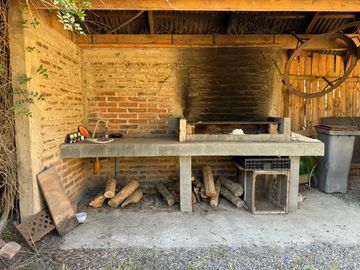 MAITENCILLO