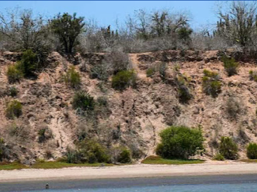 SINALOA ISLA DE TACHICHITLE TERRENO VENTA ANGOSTURA