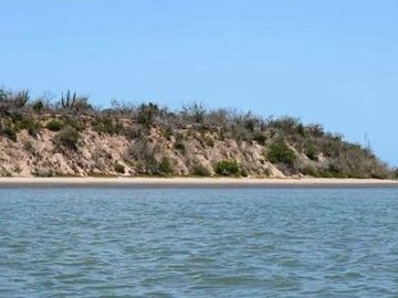 SINALOA-ISLA DE TACHICHITLE-TERRENO-VENTA-ANGOSTURA