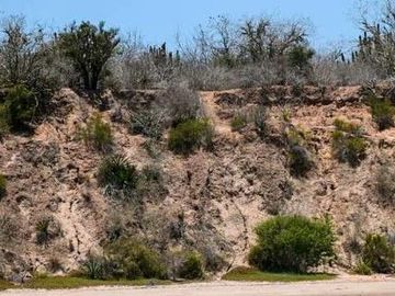 SINALOA-ISLA DE TACHICHITLE-TERRENO-VENTA-ANGOSTURA