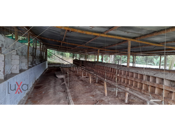 LUXA VENDE FINCA CAMPESTRE VA PANAMERICANA - CALIBIO