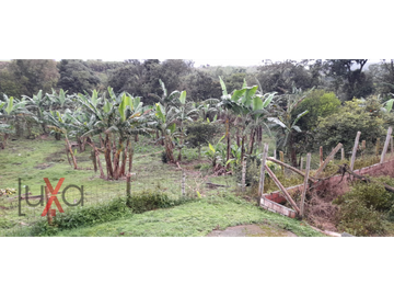 LUXA VENDE FINCA CAMPESTRE VA PANAMERICANA - CALIBIO