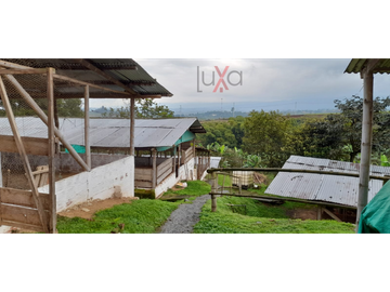 LUXA VENDE FINCA CAMPESTRE VA PANAMERICANA - CALIBIO