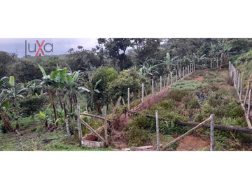 LUXA VENDE FINCA CAMPESTRE VA PANAMERICANA - CALIBIO
