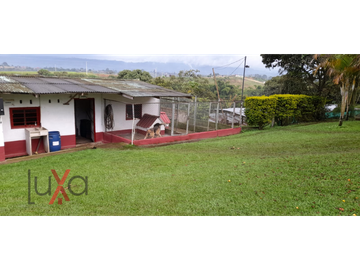 LUXA VENDE FINCA CAMPESTRE VA PANAMERICANA - CALIBIO