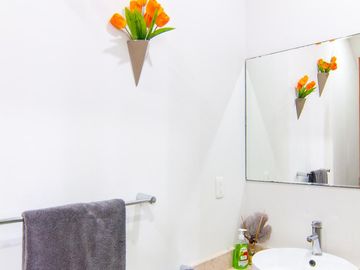 Casa en venta en  fraccionamiento paraiso