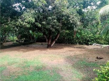 Finca en venta en San Antero Vereda Cabeceras