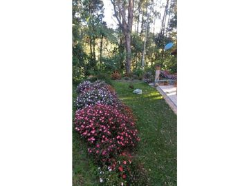 Venta finca Don Matías Antioquia Colombia