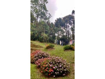 Venta finca Don Matías Antioquia Colombia