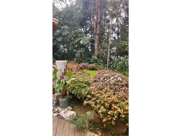 Venta finca Don Matías Antioquia Colombia