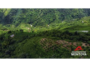 Finca productiva de 130 hectáreas en Génova, Quindío