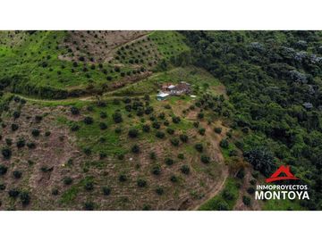 Finca productiva de 130 hectáreas en Génova, Quindío