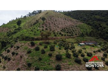 Finca productiva de 130 hectáreas en Génova, Quindío