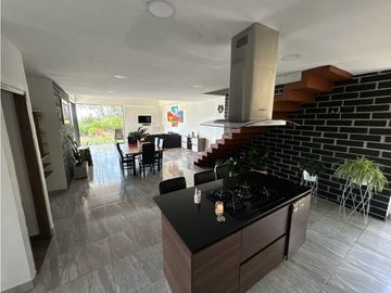 SE VENDE FINCA INDEPENDIENTE Y CON BOSQUE PRIVADO EN EL CARMEN DE VIBO