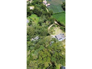 SE VENDE FINCA INDEPENDIENTE Y CON BOSQUE PRIVADO EN EL CARMEN DE VIBO