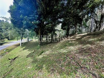Oportunidad! Se Vende Terreno de Esquina Zona Alta - Altos del Maria
