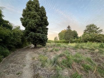 Casa en Venta en Camino a Panimávida