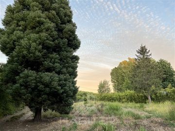 Casa en Venta en Camino a Panimávida