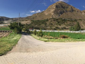 Venta 3 ha terreno plano agrícola cerca a Guayllabamba $30 m2