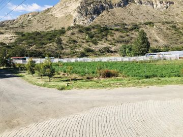 Venta 3 ha terreno plano agrícola cerca a Guayllabamba $30 m2