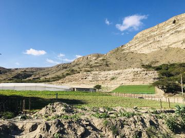 Venta 3 ha terreno plano agrícola cerca a Guayllabamba $30 m2