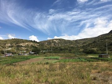 Venta 3 ha terreno plano agrícola cerca a Guayllabamba $30 m2