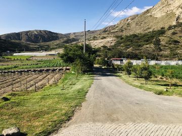 Venta 3 ha terreno plano agrícola cerca a Guayllabamba $30 m2